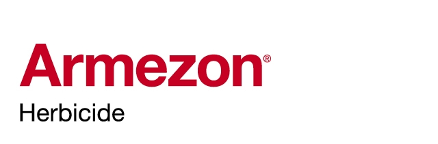 Armezon® logo